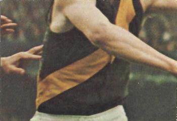1973 Scanlens VFL #45 Mike Collins Back